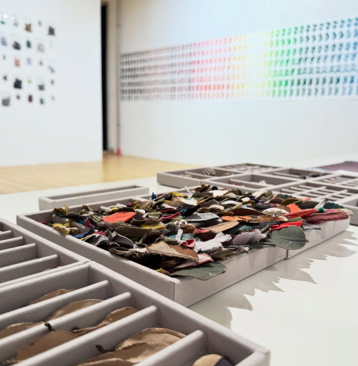 transcend biology? | 2 – MOM art space